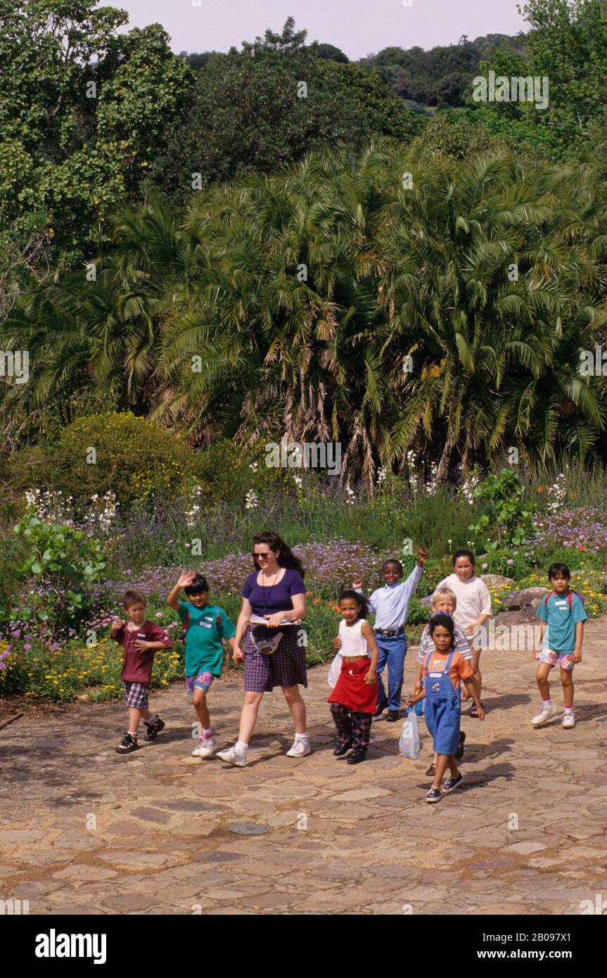 AFRIQUE DU SUD, CAPE TOWN, JARDINS BOTANIQUES KIRSTENBOSCH, CLASSE SCOLAIRE Banque D'Images