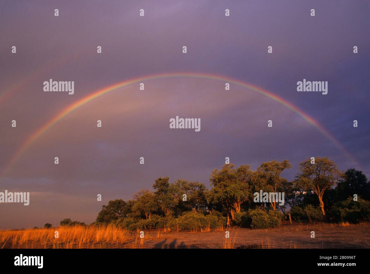 BOTSWANA, SAVUTI, KINGS PISCINE, PAYSAGE AVEC RAINBOW, SAISON DES PLUIES Banque D'Images