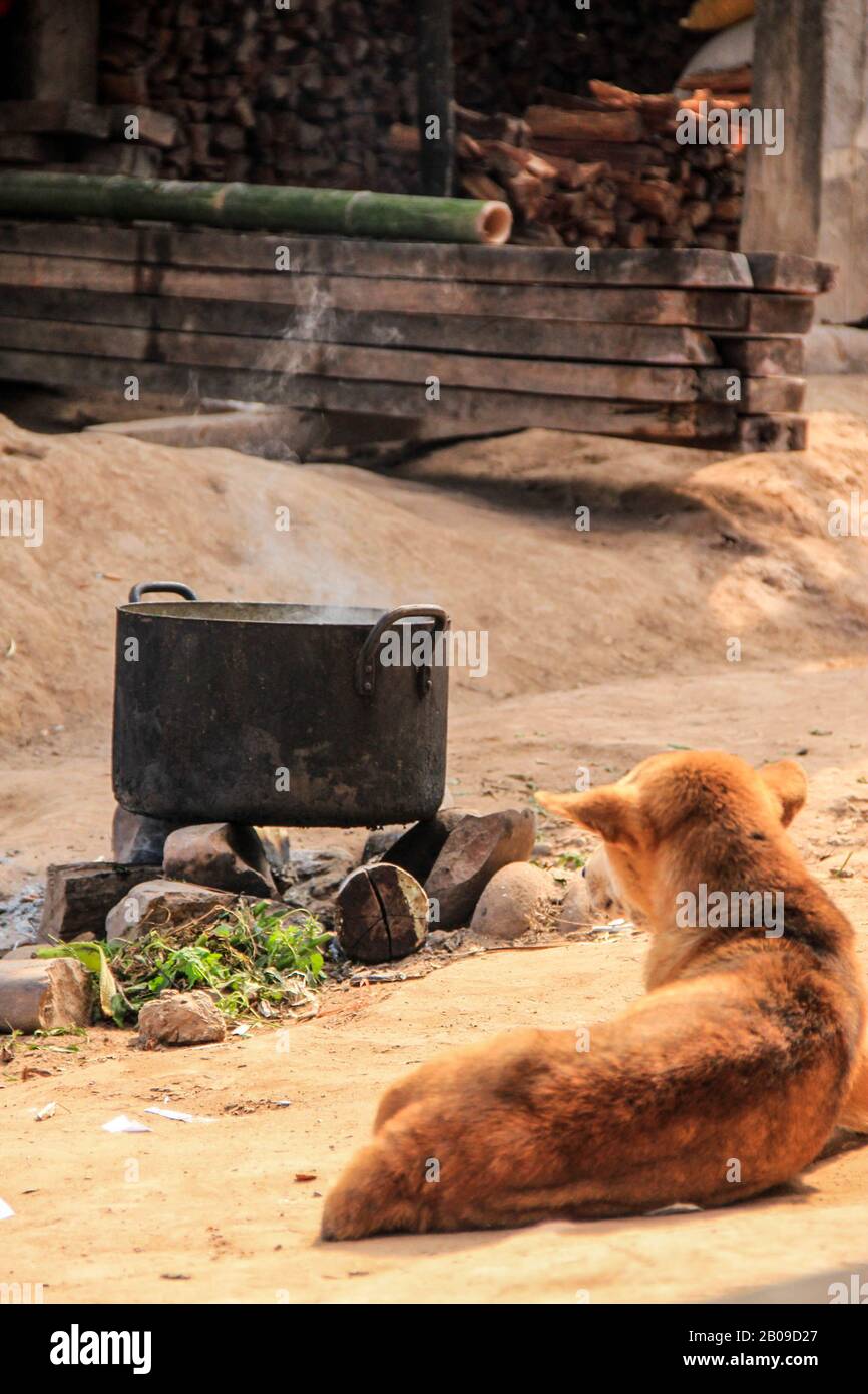 chien assis près du feu. pot sur une cheminée, cuisine asiatique. Pauvres et faciles à vivre au Laos Banque D'Images