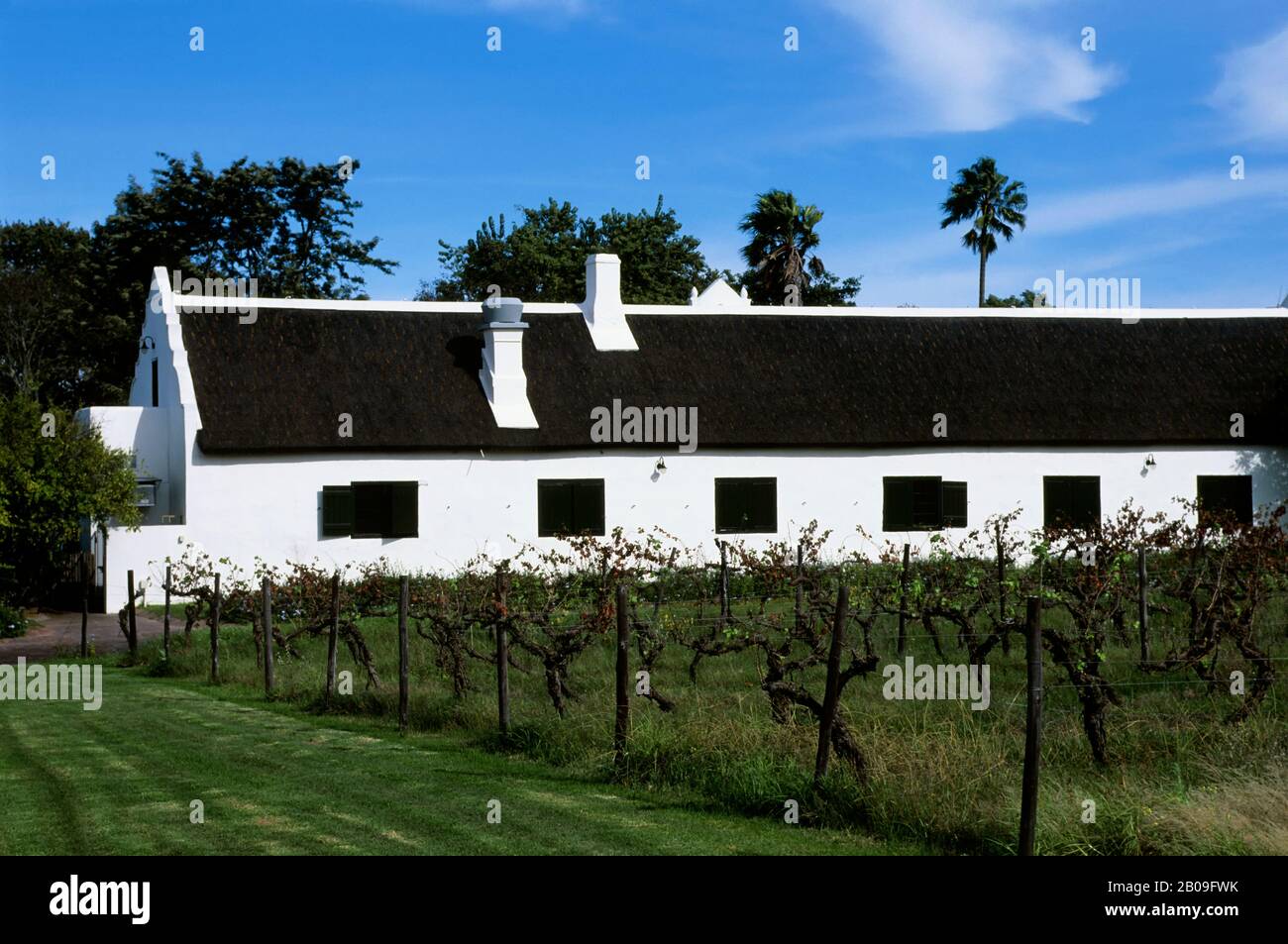 AFRIQUE DU SUD, PRÈS DE CAPE TOWN, PAYS VITICOLE DE STELLENB.S., DOMAINE SPIER Banque D'Images