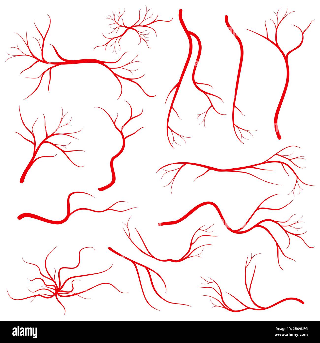 Veines des yeux humains, vaisseaux, artères sanguines isolées sur vecteur blanc. Ensemble de veines du sang, illustration des veines rouges de santé Illustration de Vecteur