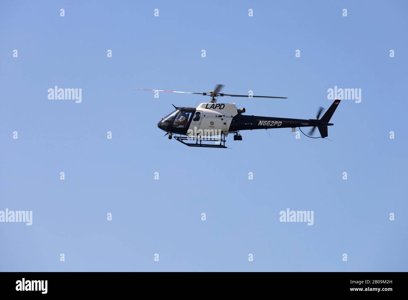 Service de police de Los Angeles, LAPD, Eurocopter AS350B2 hélicoptère Ecureuil dans l'air. Californie, États-Unis D'Amérique Banque D'Images