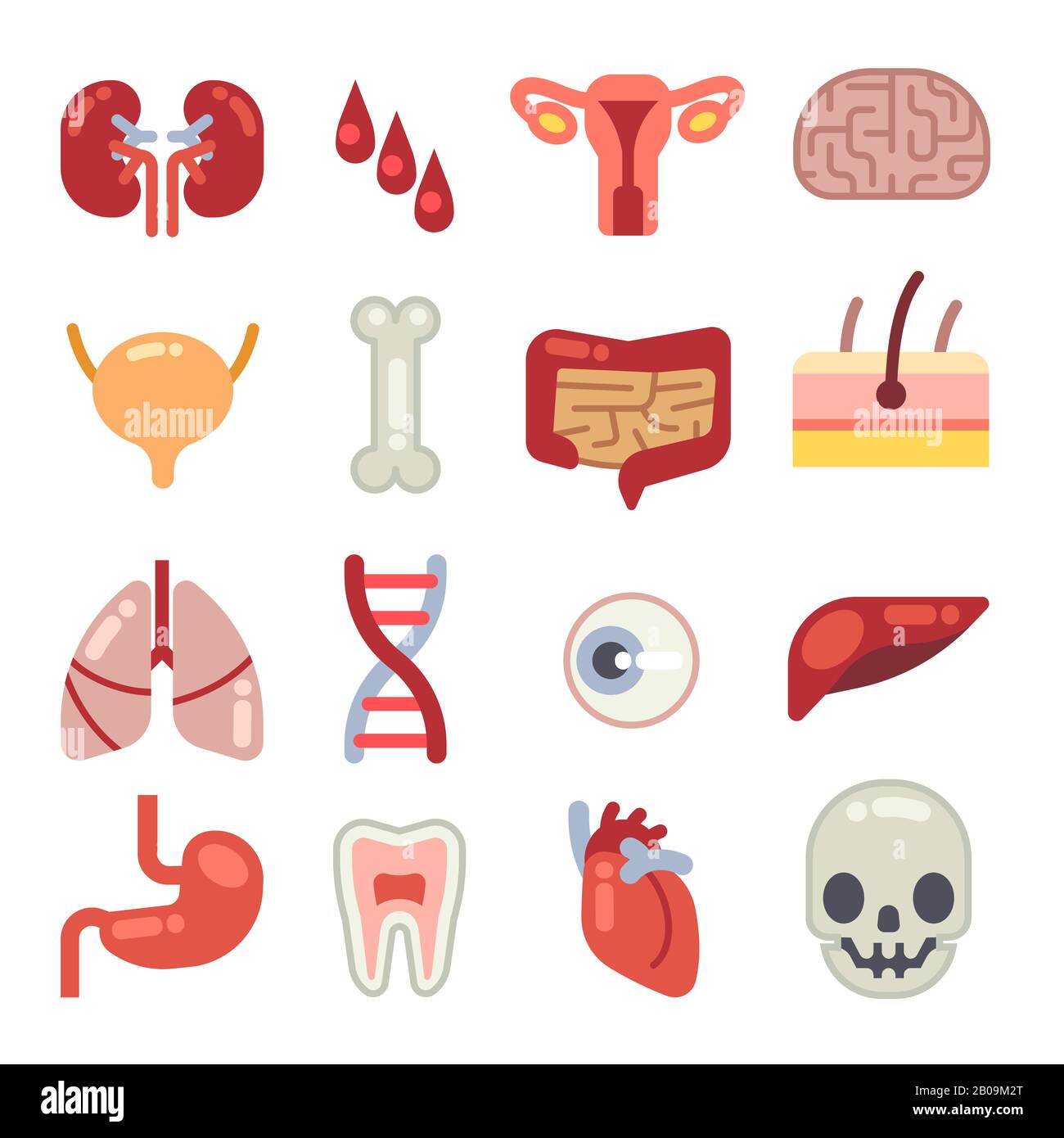 Organes internes humains icônes vectorielles plates. Ensemble d'organes vitaux, illustration du cerveau, de l'estomac et de l'organe cardiaque Illustration de Vecteur