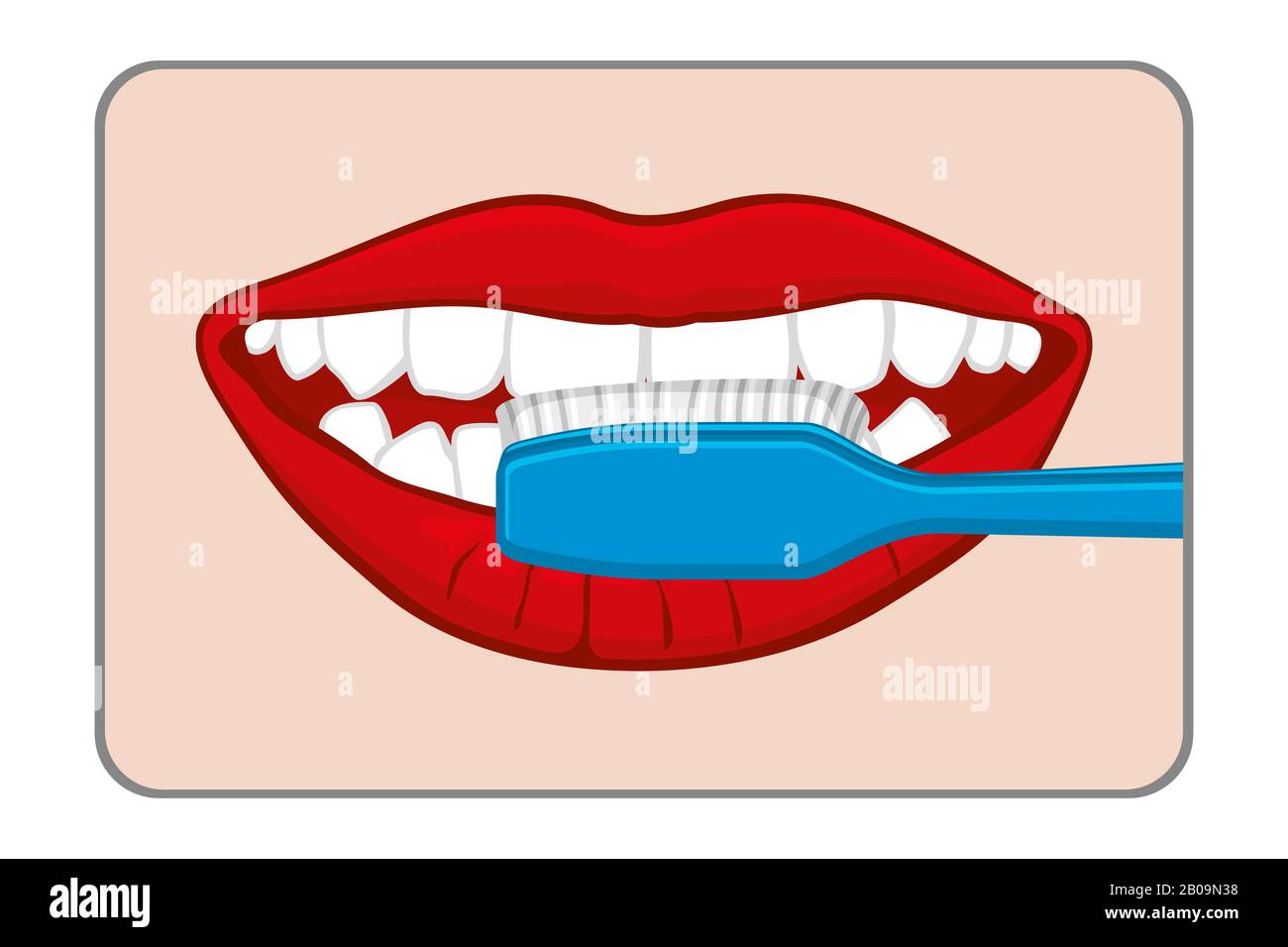 Femme brossant ses dents illustration vectorielle. Nettoyer et entretenir les dents Illustration de Vecteur