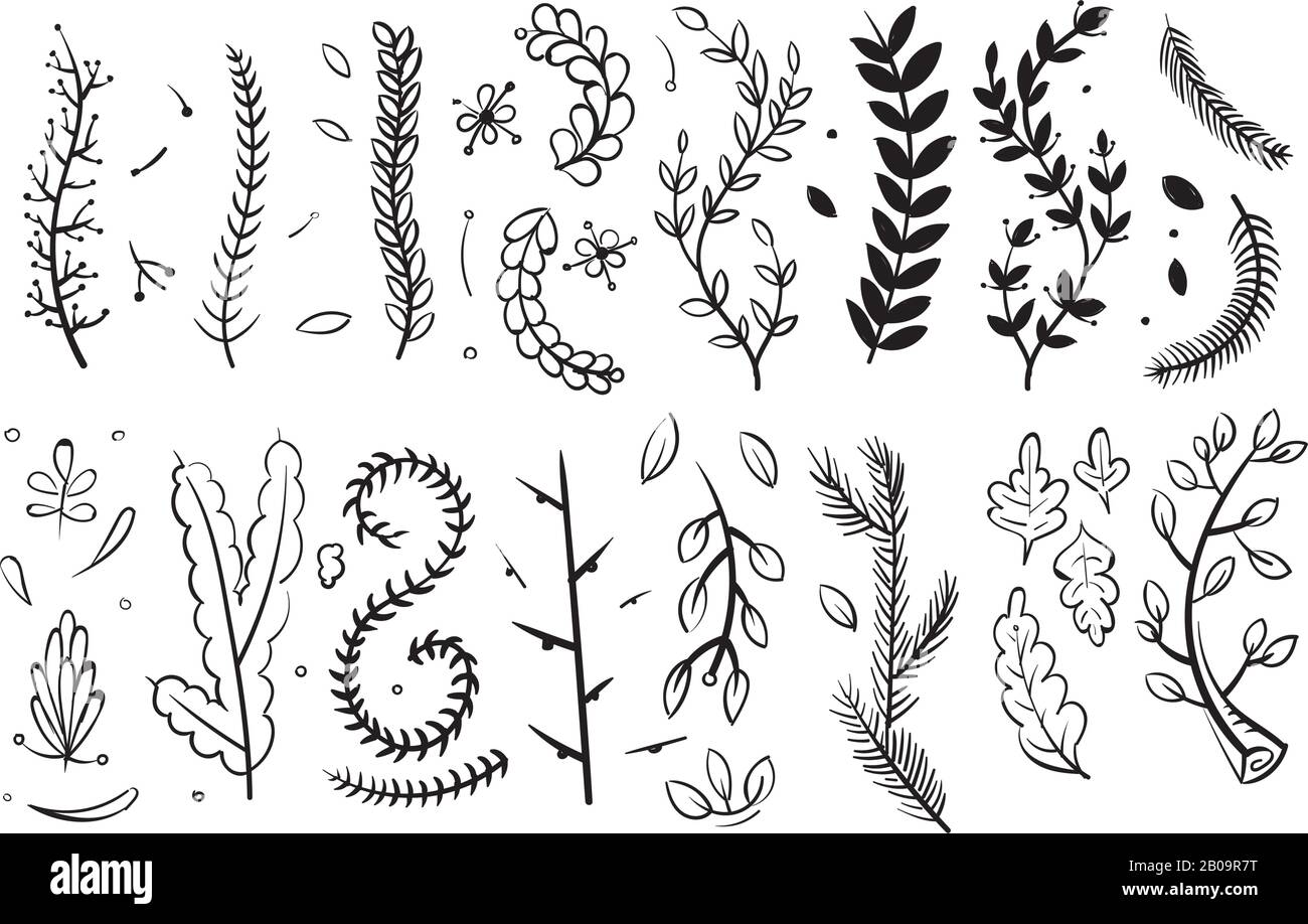 Branches décoratives dessinées à la main avec feuilles et fleurs doodle éléments vectoriels floraux ensemble. Ensemble de plantes de branchement, esquisse de l'illustration de plantes florales Illustration de Vecteur