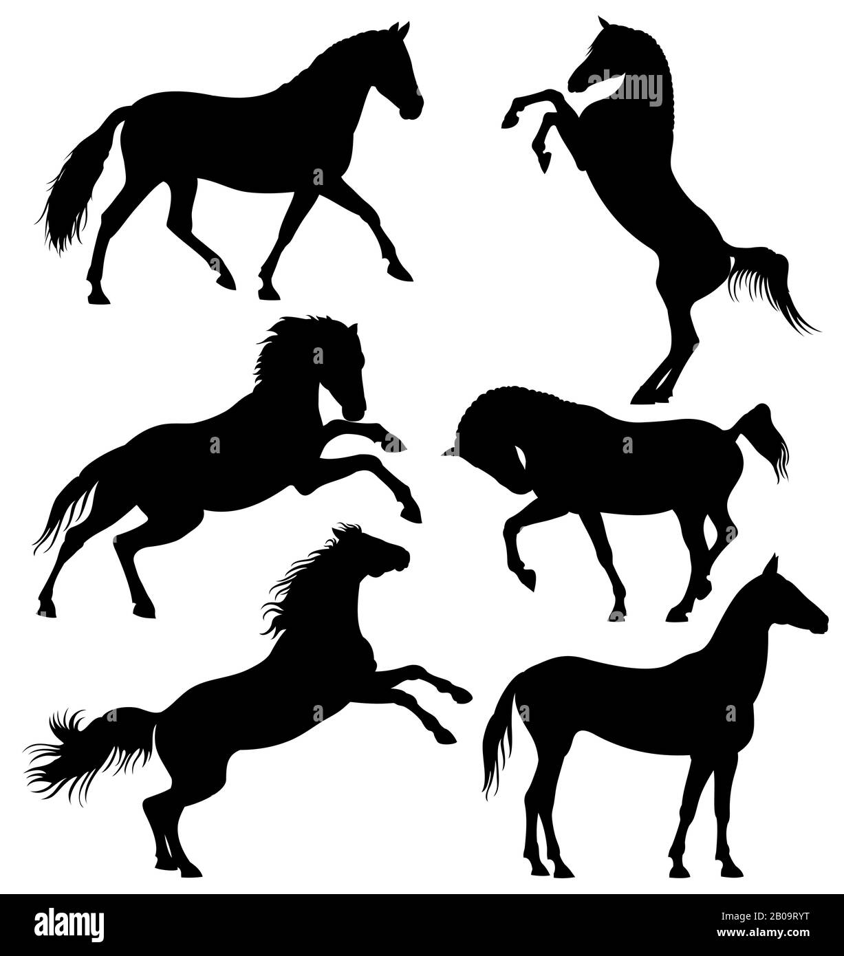 Cheval sauvage foncé, chevaux de course à pied vector silhouettes isolé sur fond blanc. Silhouettes de cheval sauvage, illustration de cheval de vitesse de mammifère animal Illustration de Vecteur