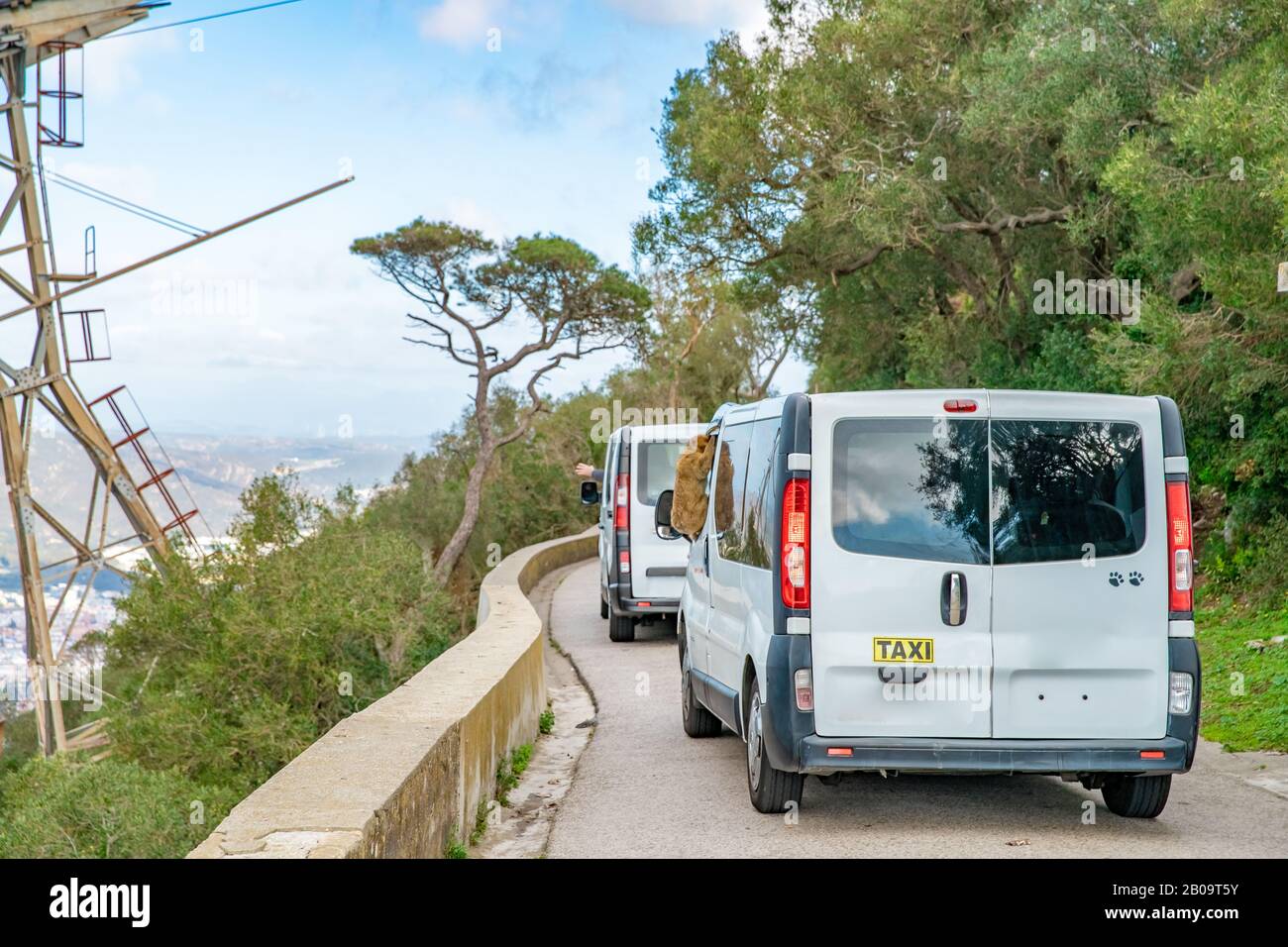 Un taxi transporte les touristes dans une réserve naturelle avec un singe accroché à la fenêtre Banque D'Images