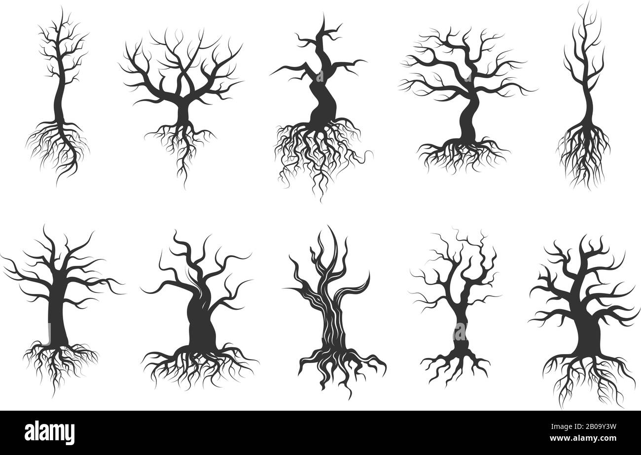 Anciennes silhouettes vectorielles arborescentes avec jeu de vecteurs racines. Tronc d'arbre à silhouette noire avec racine, illustration de l'arbre sec Illustration de Vecteur