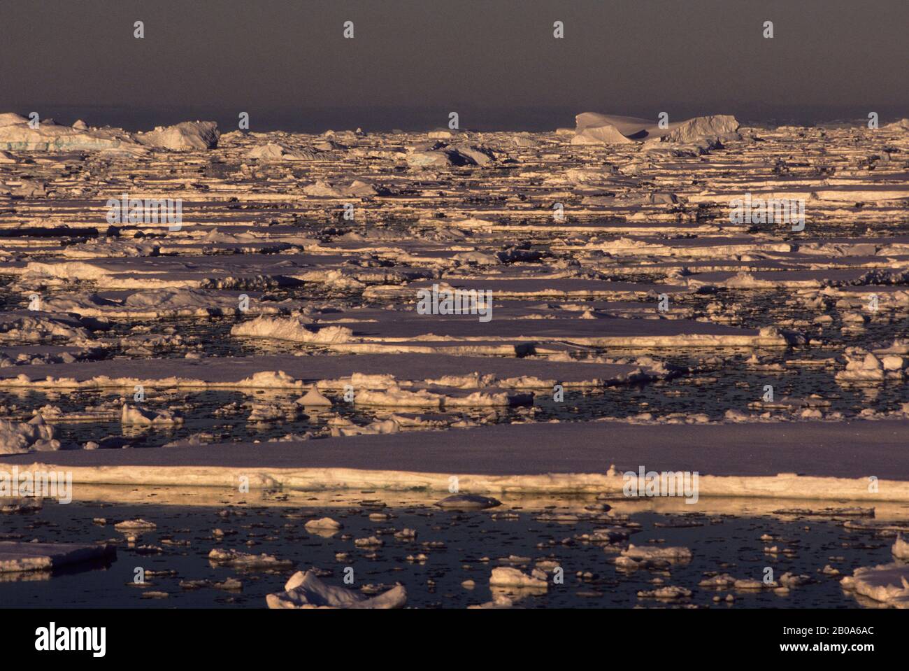 ZONE DE LA PÉNINSULE ANTARCTIQUE, DENSE PACK DE GLACE Banque D'Images