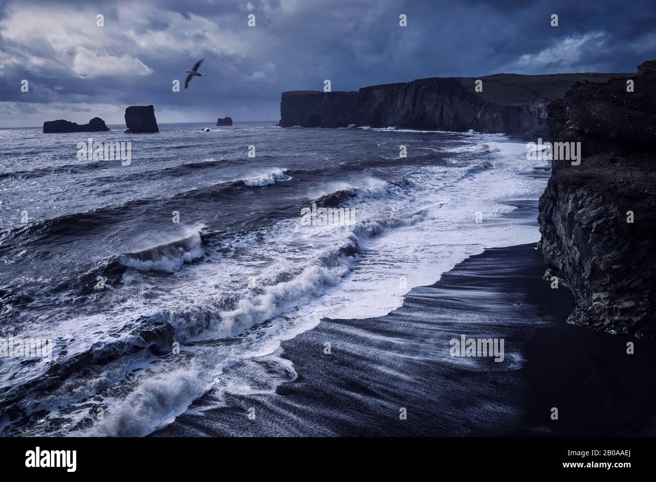 Vue sur la mer pluvieuse avec des vagues qui s'écrasent contre la plage de sable noir avec des roches volcaniques et des oiseaux volant dans le ciel nuageux à Dyrholaey dans le sud de l'Islande Banque D'Images