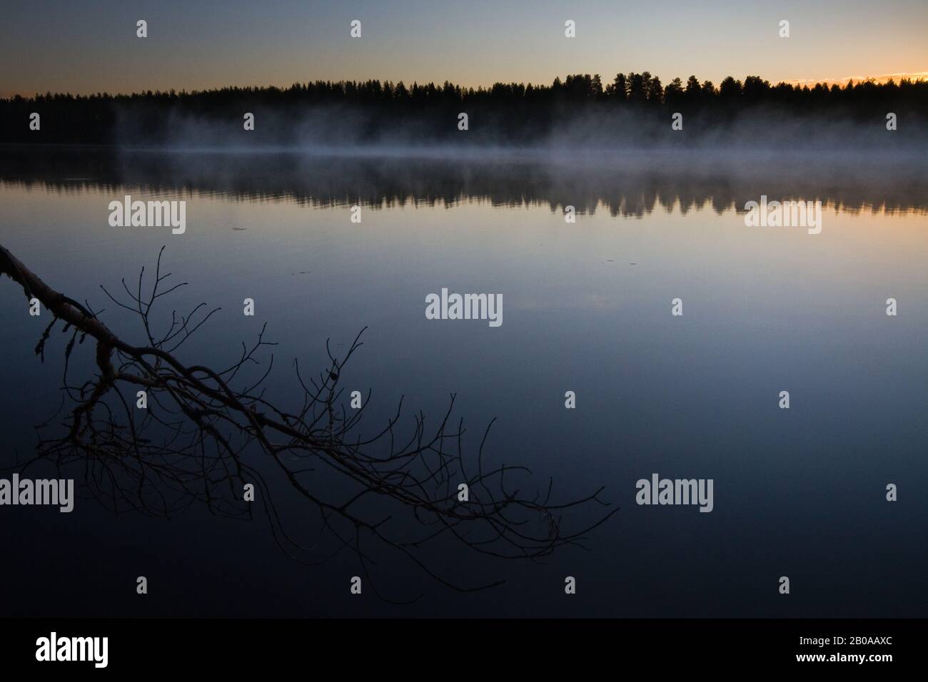 Lac de la Taïga au lever du soleil, Finlande Banque D'Images