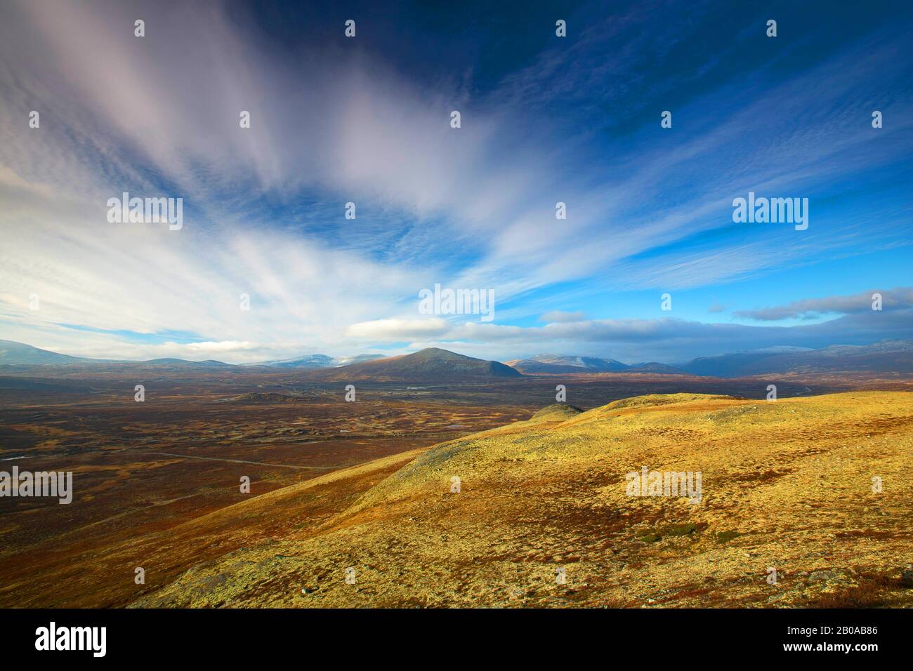 Dovrefjell; Tverrfjellet, Norvège, Dovis Fjaell, Dovrefjell Sunndalsfjella National Park, Tverrfjellet Banque D'Images