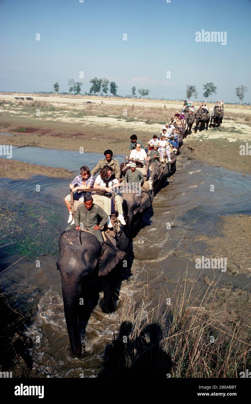 NÉPAL, TIGER TOP GAME RESERVE, TOURISTES SUR LES ÉLÉPHANTS Banque D'Images