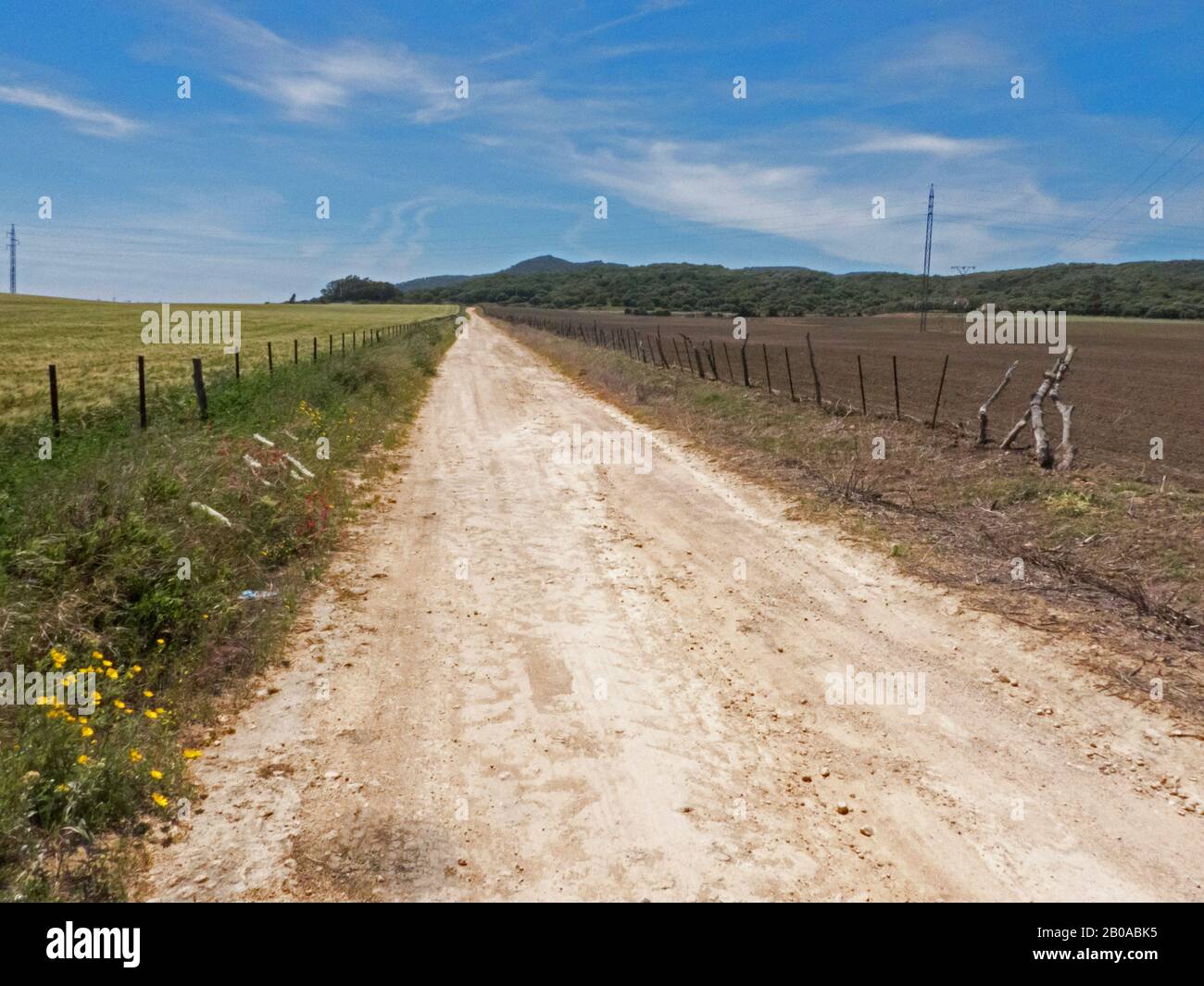 Effet des pesticides dans l'agriculture, Espagne, Cadix, la Janda Banque D'Images