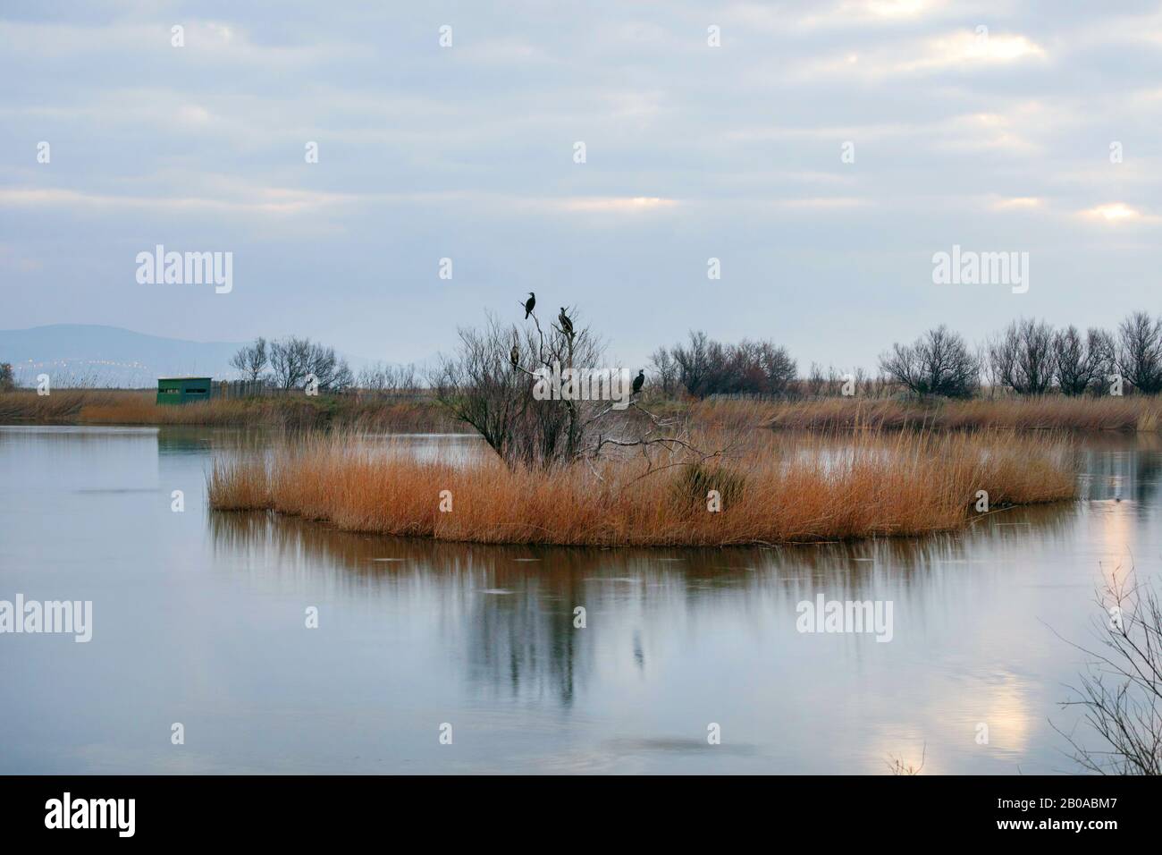 Baie de Roses, Aiguamolls de l'Empordá, Espagne, Katalonia Banque D'Images