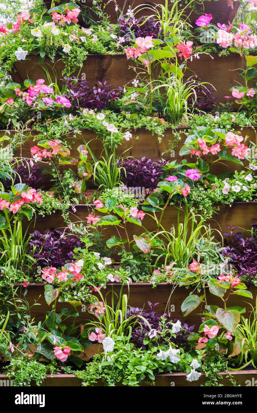 Boîte de fleurs pyramidales en bois avec plantes mixtes, pétunia blanc, fleurs d'Impatiens roses et de Begonia en été, jardin du Centre de la nature. Banque D'Images