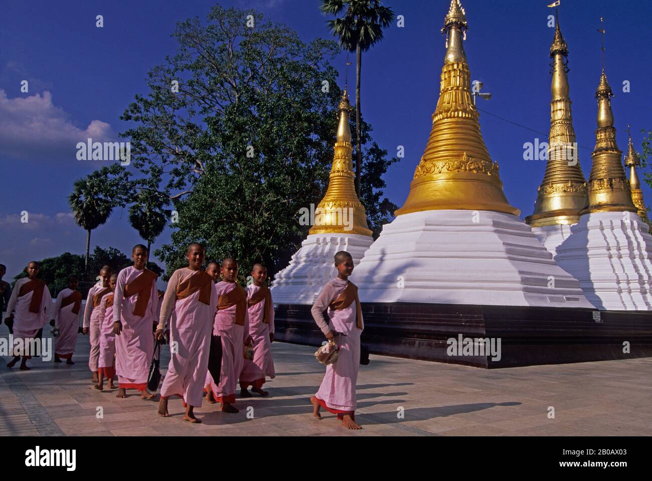 MYANMAR (BIRMANIE), RANGOON, PAGODE SHWEDAGON, RELIGIEUSES BOUDDHISTES Banque D'Images
