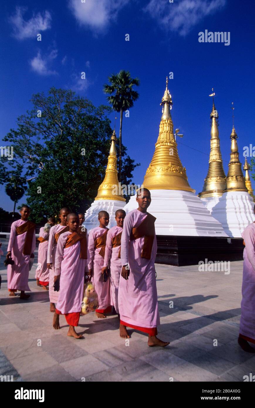 MYANMAR (BIRMANIE), RANGOON, PAGODE SHWEDAGON, RELIGIEUSES BOUDDHISTES Banque D'Images