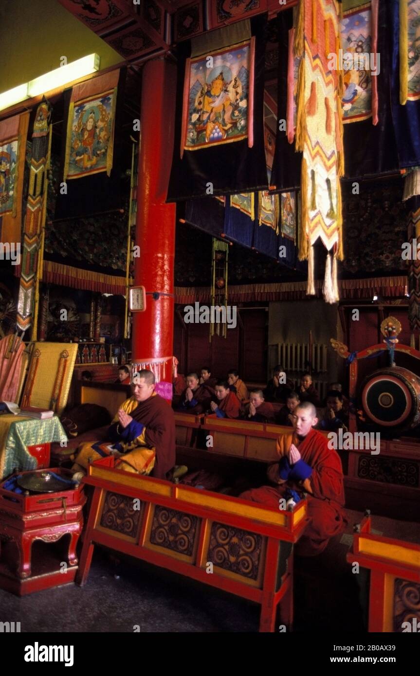MONGOLIE, OULAN-BATOR, MONASTÈRE DE GANDAN HILL, BOUDDHISME TIBÉTAIN, ÉCOLE, CHANTAGE DE MOINES Banque D'Images