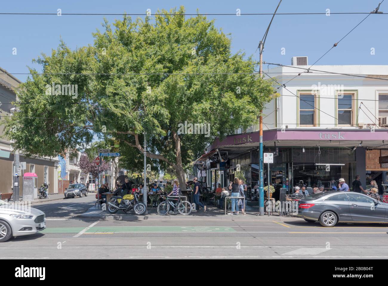 Tusk Cafe Bar sur Chapel Street à Windsor, Melbourne, Victoria, Australie sert du café et des repas à l'intérieur et à l'extérieur sous un immense arbre ombragé Banque D'Images
