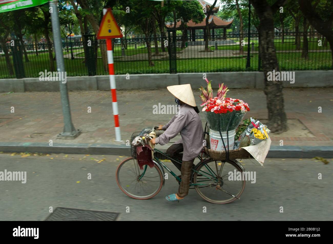 VIETNAM DU NORD, HANOI, SCÈNE DE RUE, FEMME AVEC DES FLEURS SUR VÉLO Banque D'Images