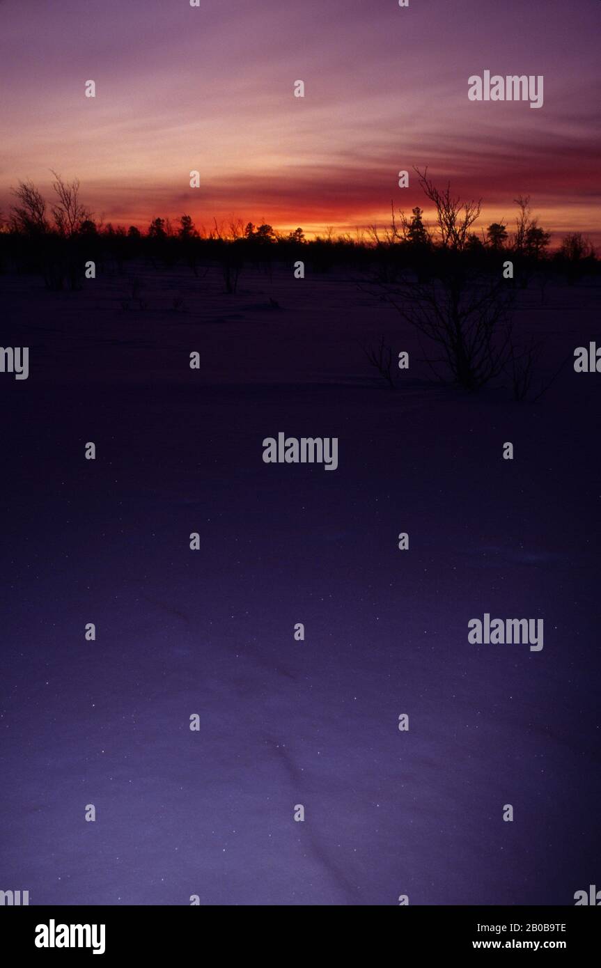 NORVÈGE, FINNMARK, PRÈS DE KARASJOK, MI-HIVER, VERS MIDI, CRÉPUSCULE AU SUD Banque D'Images