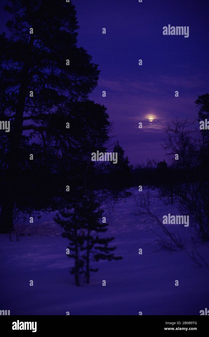 NORVÈGE, FINNMARK, PRÈS DE KARASJOK, MI-HIVER, VERS MIDI, LUNE Banque D'Images