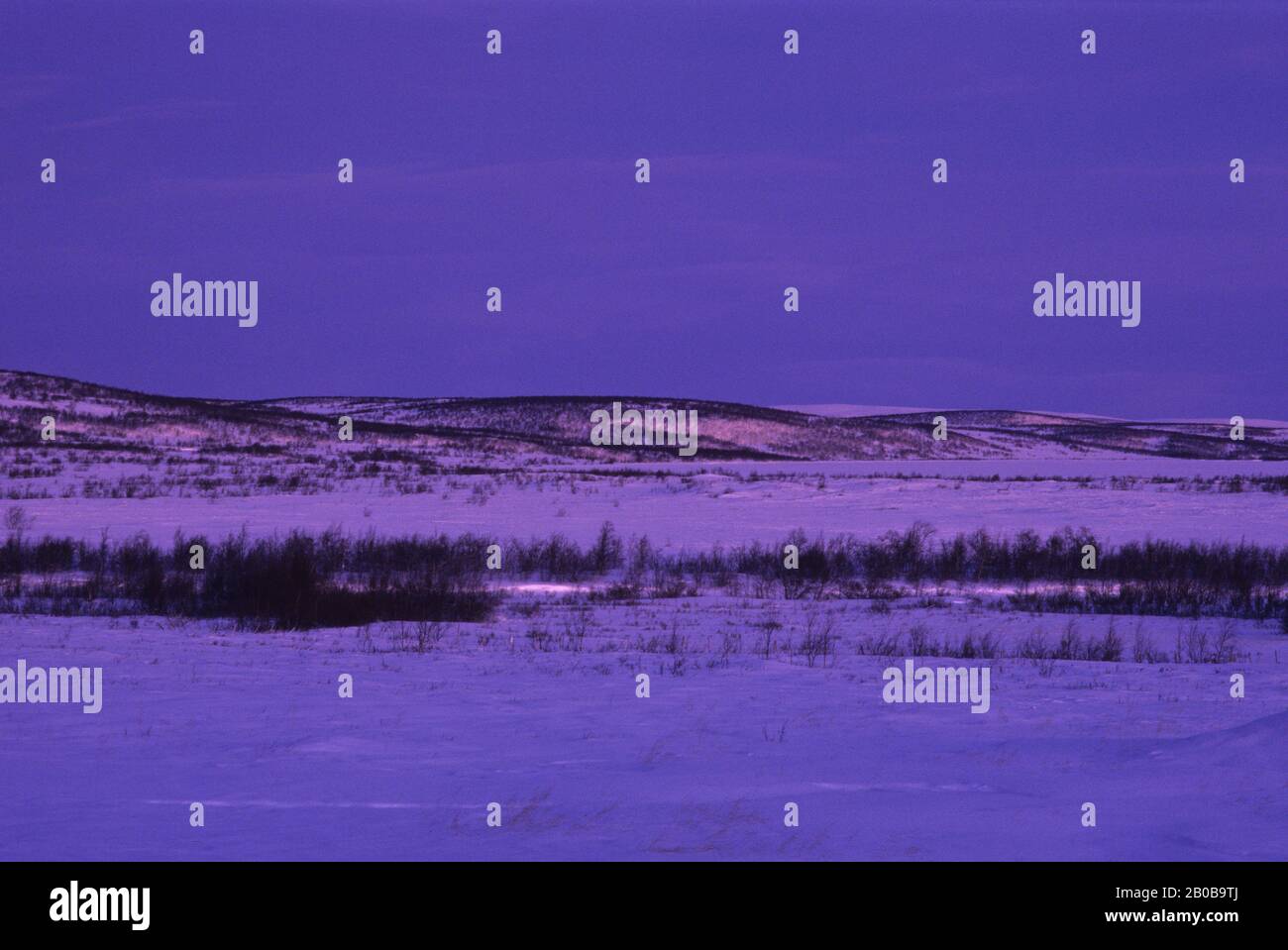 NORVÈGE, FINNMARK, PRÈS DE KARASJOK, MI-HIVER, VERS 10:00, PAYSAGE Banque D'Images