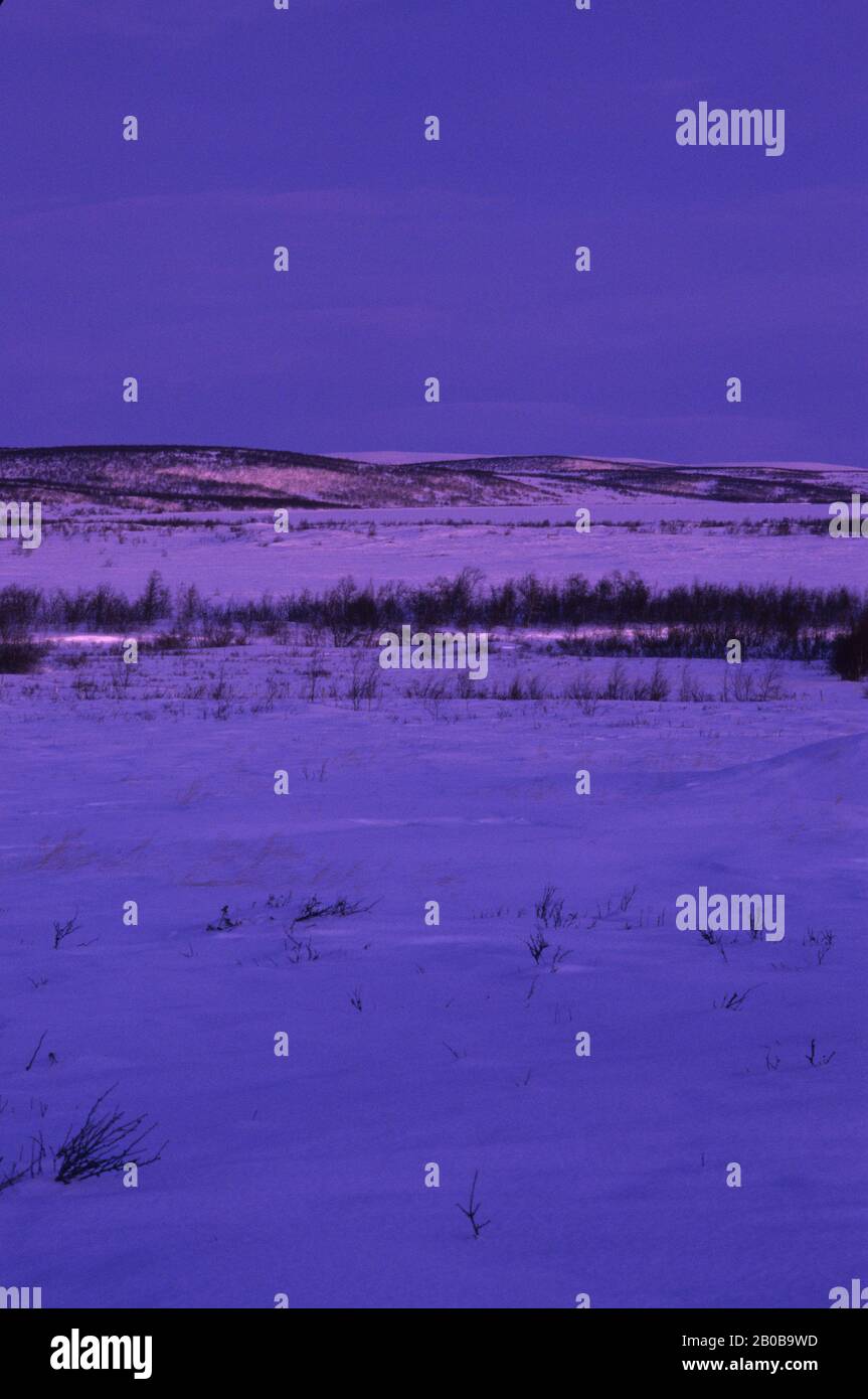 NORVÈGE, FINNMARK, PRÈS DE KARASJOK, MI-HIVER, VERS 10:00, PAYSAGE Banque D'Images