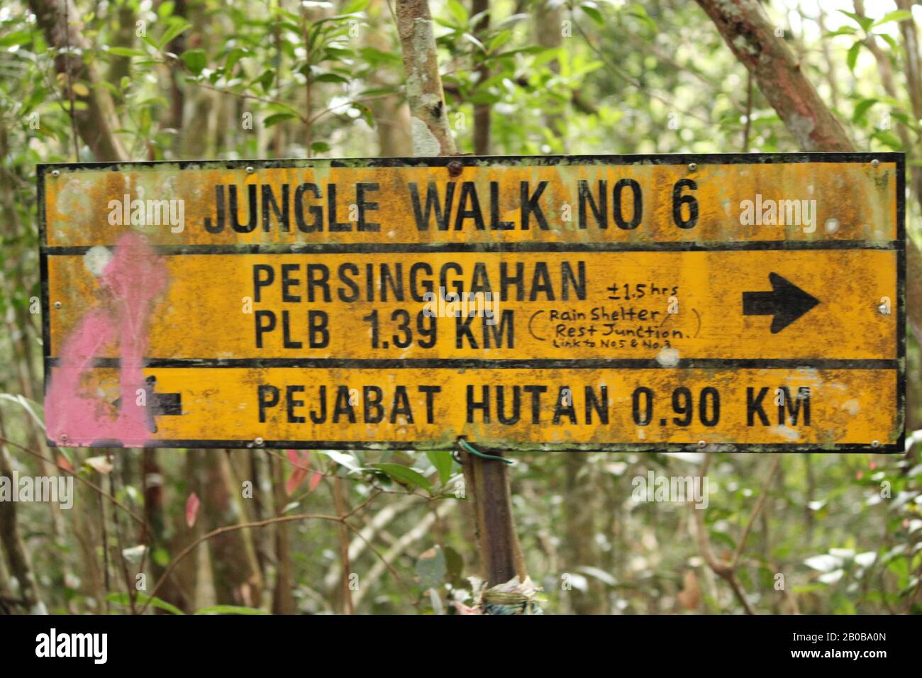 La jungle Ne Marche pas 6 direction, Cameron Highland Banque D'Images