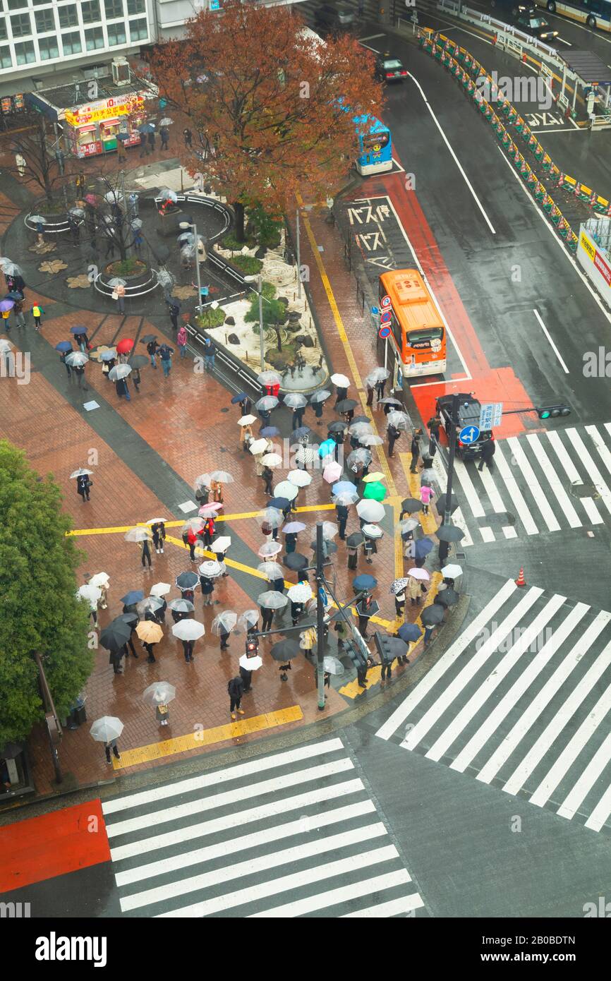 Les Habitants De Shibuya Crossing, Shibuya, Tokyo, Japon Banque D'Images