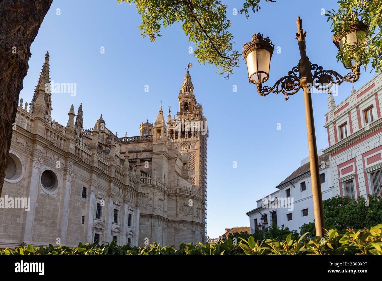 Santa Maria de la Sede, la célèbre cathédrale de Séville, Andalousie, Espagne. Banque D'Images