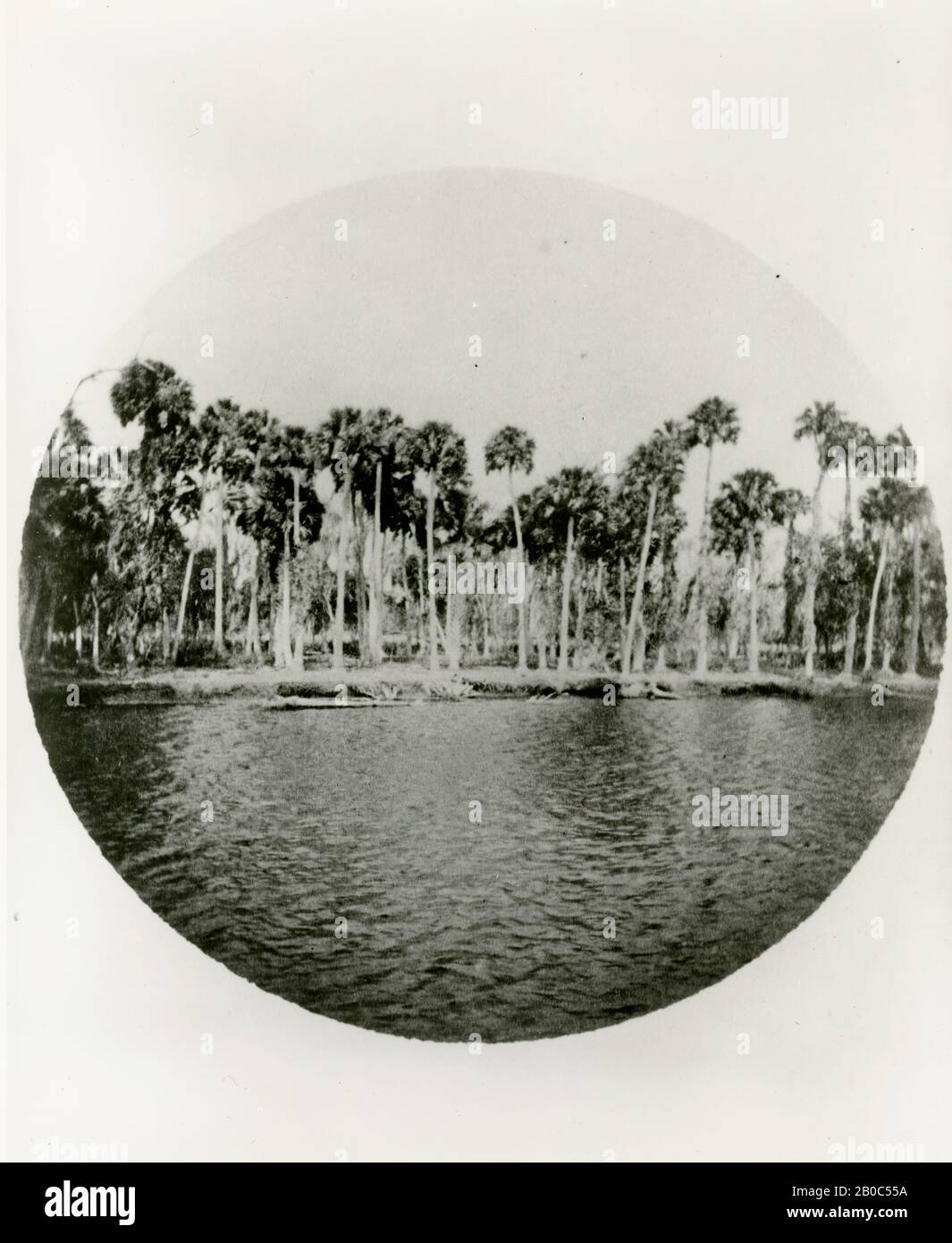 Winslow Homer, Rivière St. JohN', Floride, Californie. 1895, trou d'épingle (d'un appareil photo Eastman Kodak n° 1) Banque D'Images