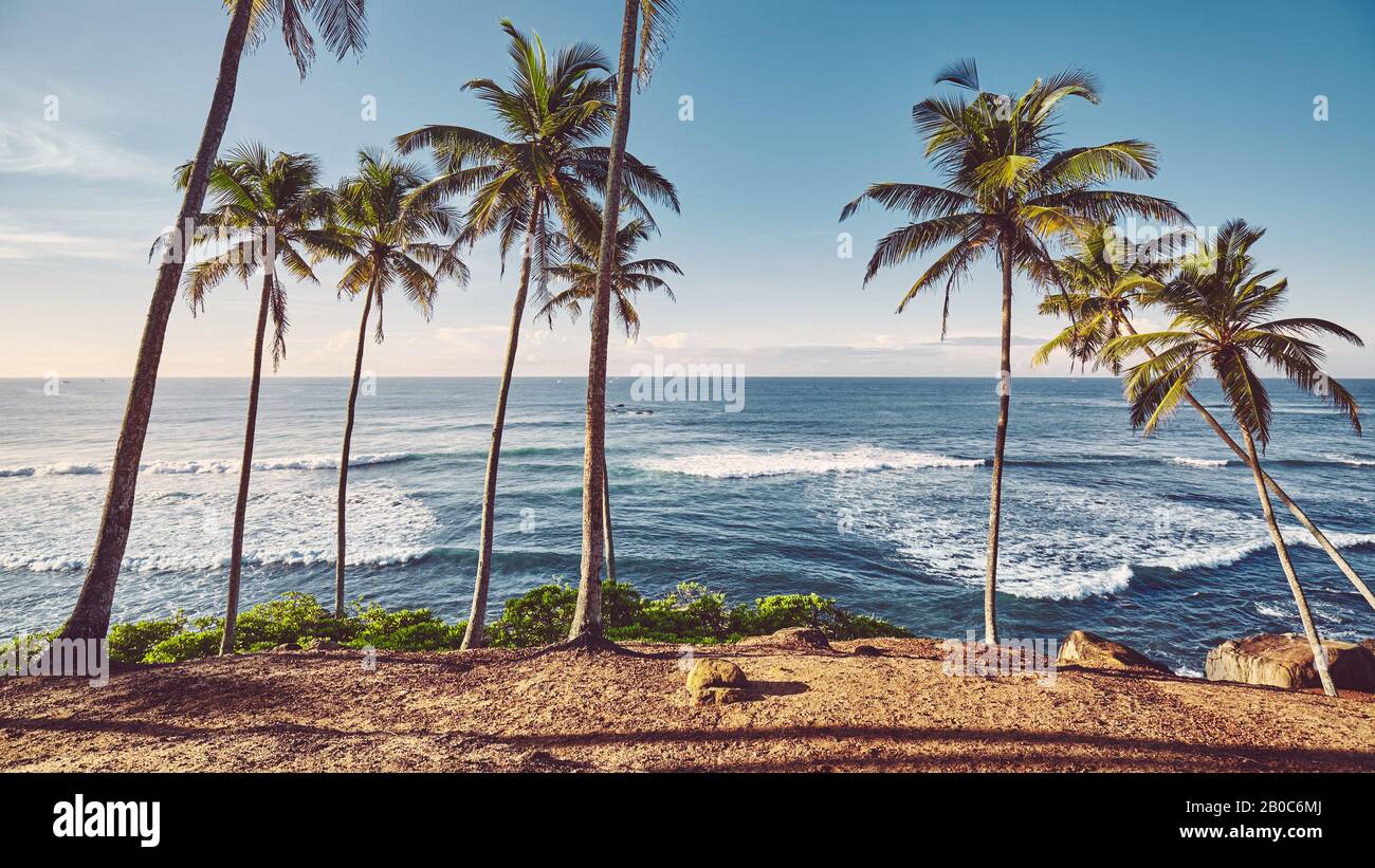 Plage tropicale avec palmiers à noix de coco au lever du soleil, coloration de couleur appliquée. Banque D'Images