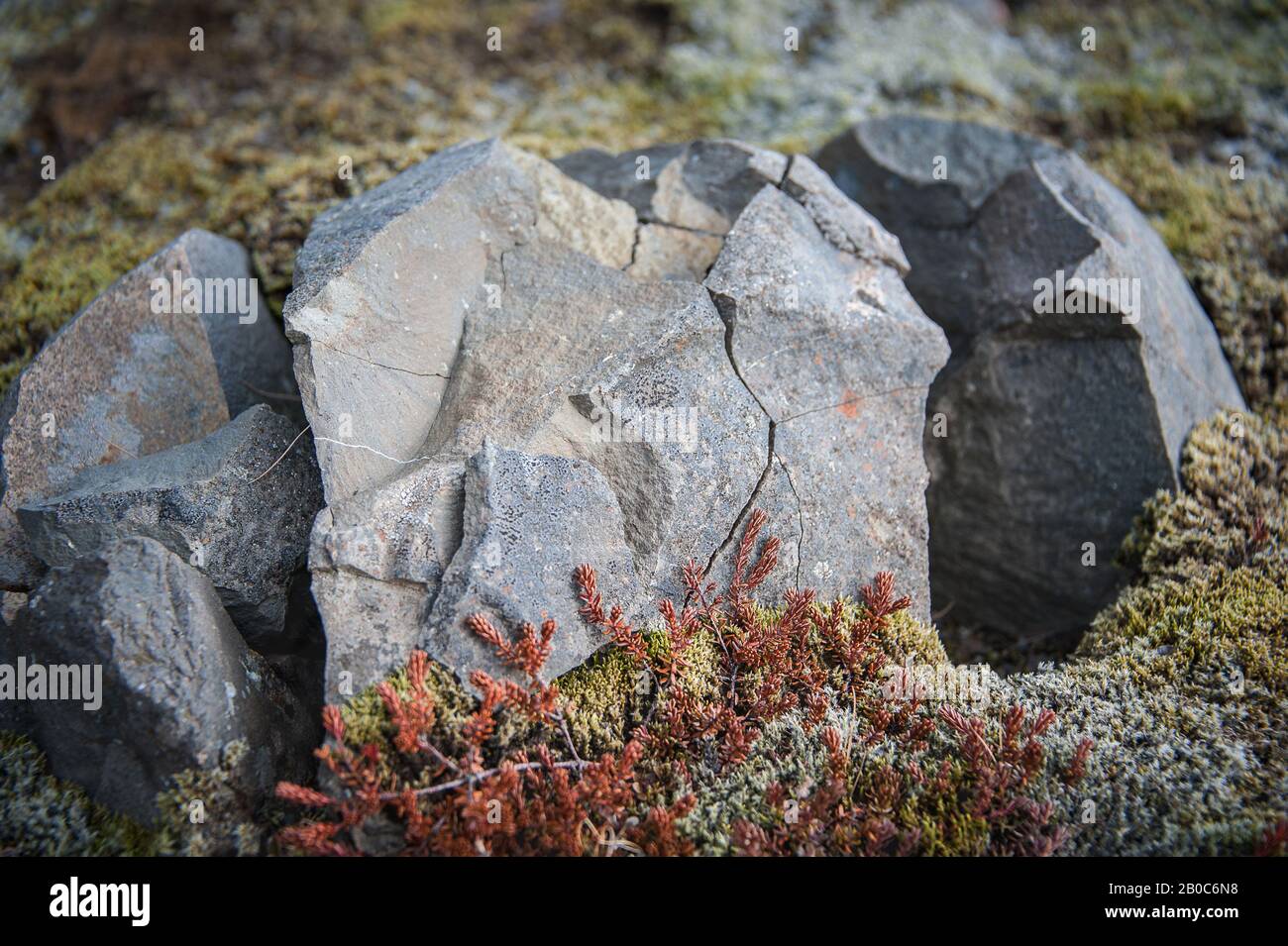 Roche fracturée recouverte de mousse et de lichen le long du sentier de randonnée, dans le parc national de Skaftafell, dans le sud-est de l'Islande. Banque D'Images