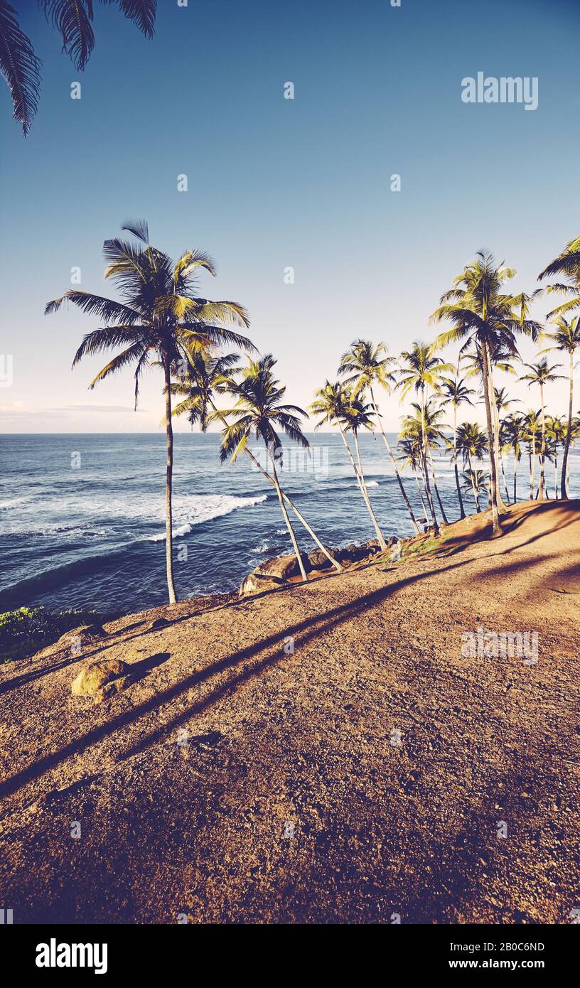 Plage tropicale avec palmiers à noix de coco au lever du soleil, coloration rétro appliquée. Banque D'Images