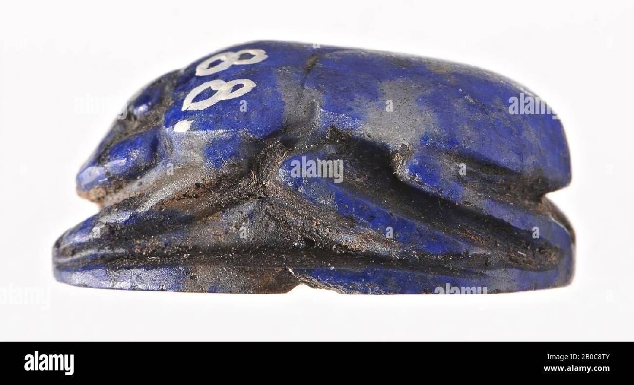 Scarab, inscription, panthère, taille, RAM, phoque, scarabée, pierre, lapis lazuli, 1,9 cm, Egypte Banque D'Images