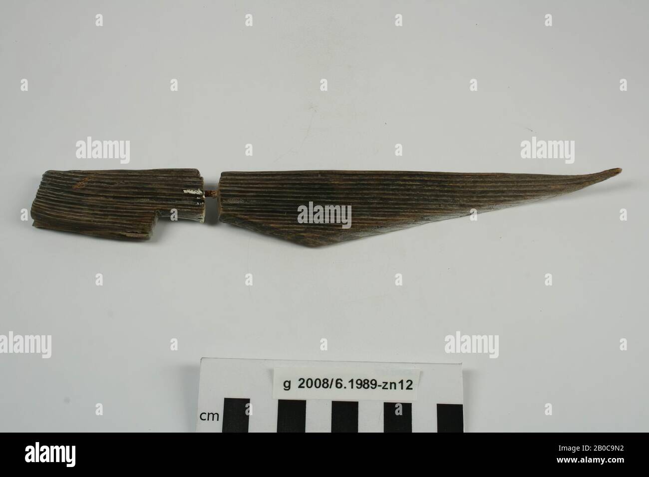 Tente hareng en bois, tournée en blanc d'un côté. Brisée en 2 morceaux et maintenue ensemble par un pin de raccordement de fer, tente hareng, bio, bois, métal, fer, 25,3 x 3,3 x 1,3 cm, roman 15-30 AD, Pays-Bas, Hollande-Nord, Velsen , Velsen, Velsen I Banque D'Images