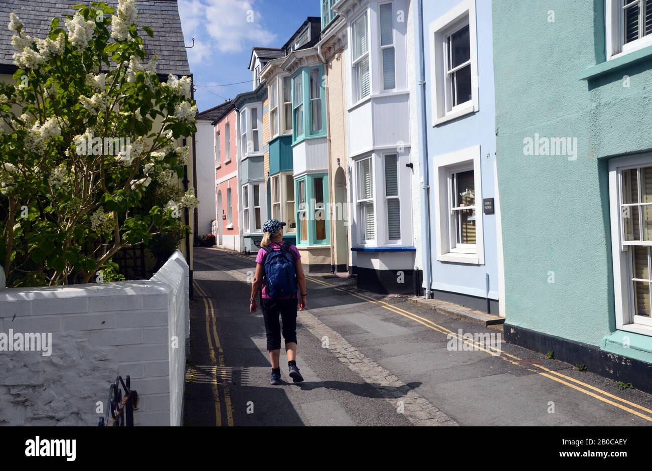 Femme Hiker marchant sur la rue Irsha une rue étroite de maisons mitoyennes De Couleur Pastel à Appledore sur le sentier de la côte sud-ouest. Devon Nord. Banque D'Images
