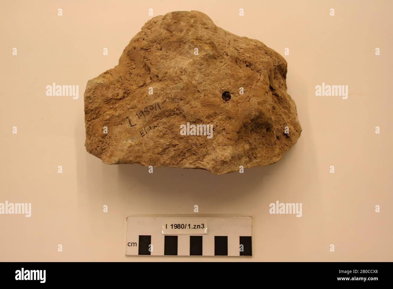 Fragment, pierre, temps préhistorique, Pays-Bas, Limbourg, Stein, Elsoloo Banque D'Images