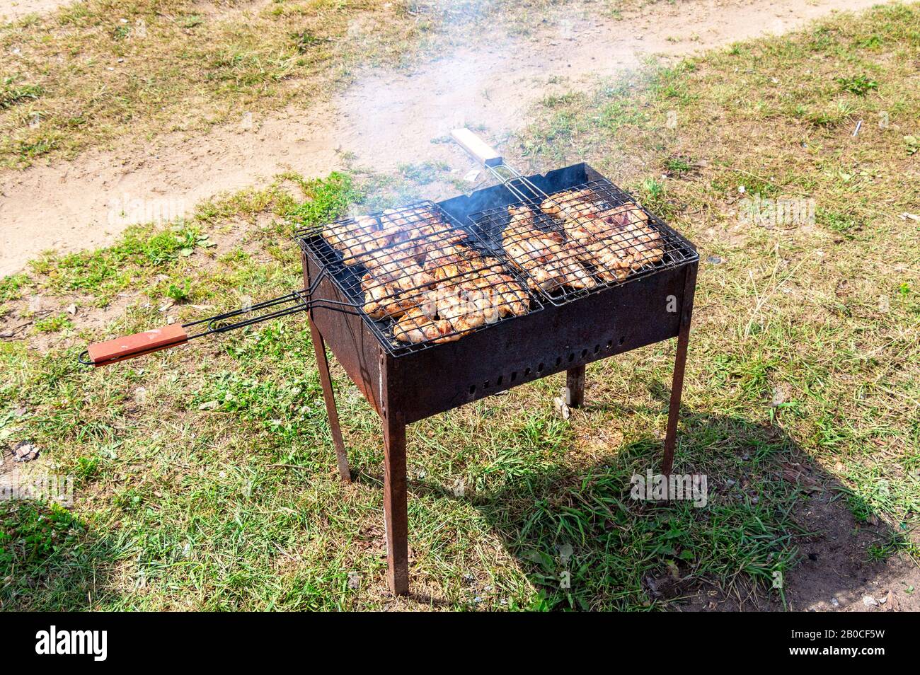 Barbecue avec délicieux poulet grillé sur le gril. Cuisine shashlik sur des charcoals chauds à l'extérieur, la nourriture de rue Banque D'Images