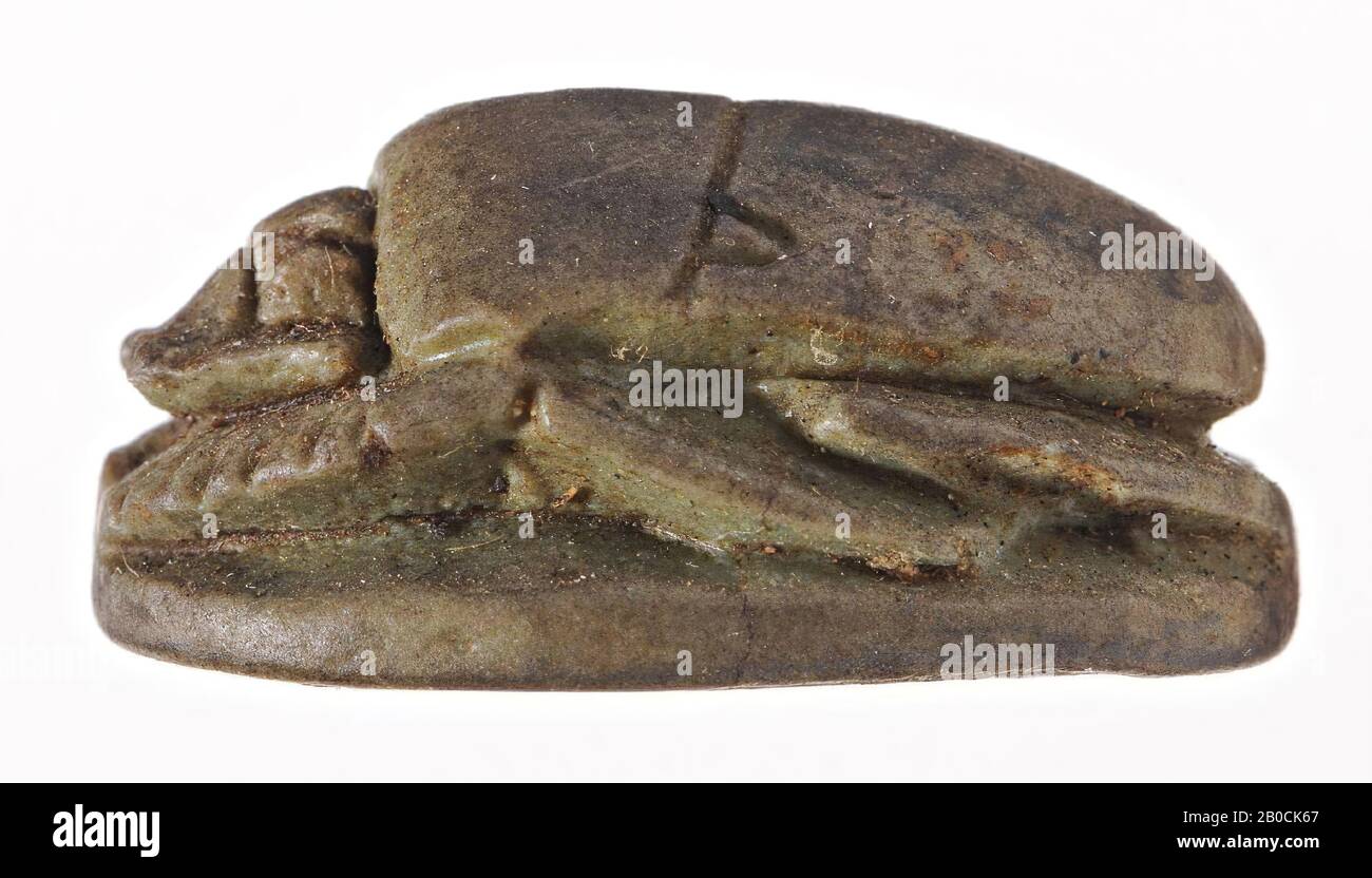 Scarab, vase hes, phoque, scarabée, foi, 2,7 cm, Egypte Banque D'Images