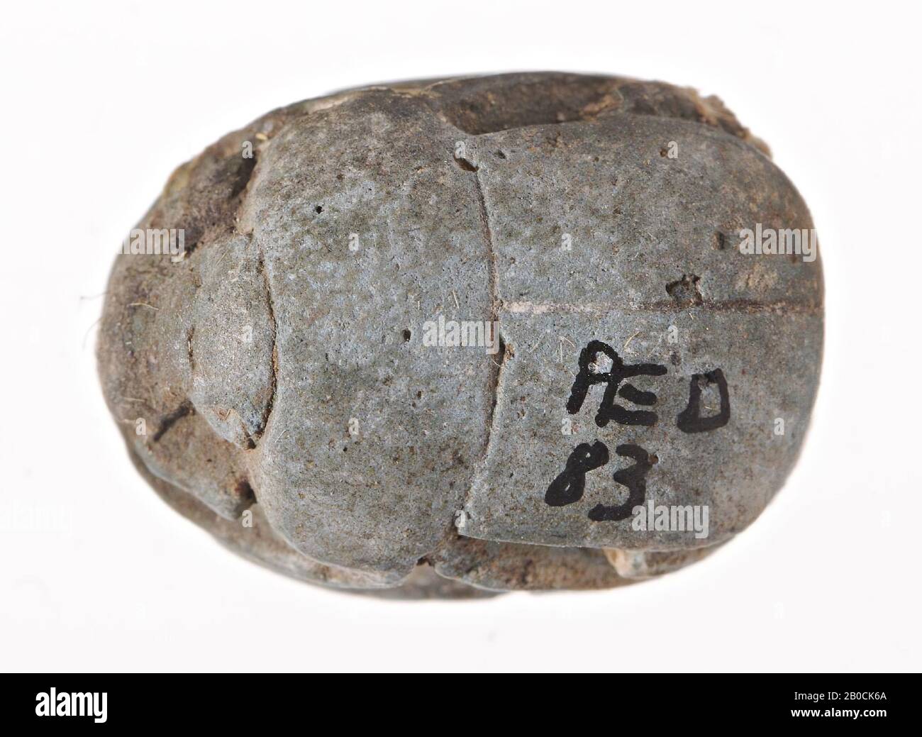 Scarab, nom, sceau, scarabée, foi, 1,5 cm, Egypte Banque D'Images