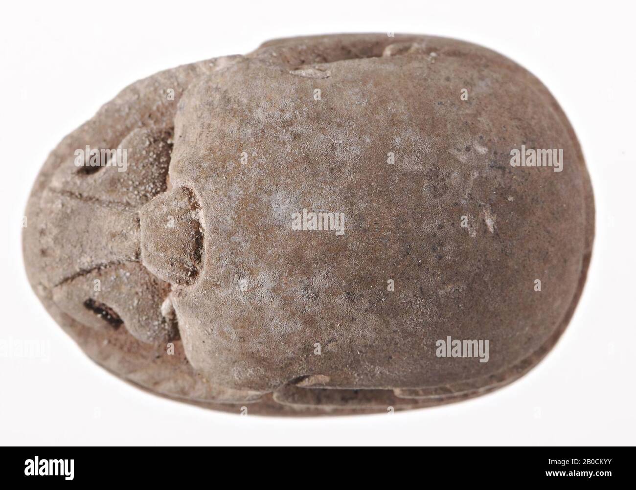 Scarab, signe néit, urée, 2 pièces, phoque, scarabée, foi, 2,7 cm, Egypte Banque D'Images