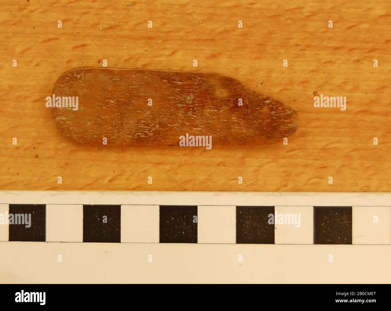 Fragment d'un morceau plat d'os avec bords arrondis et polissage, éventuellement une spatule ou un filet, outils, organique, osseux, L 6,4 cm, W 2,1 cm, épaisseur 0,2 cm, âge de fer II, phase M 850-750 v. Chr., Jordanie Banque D'Images