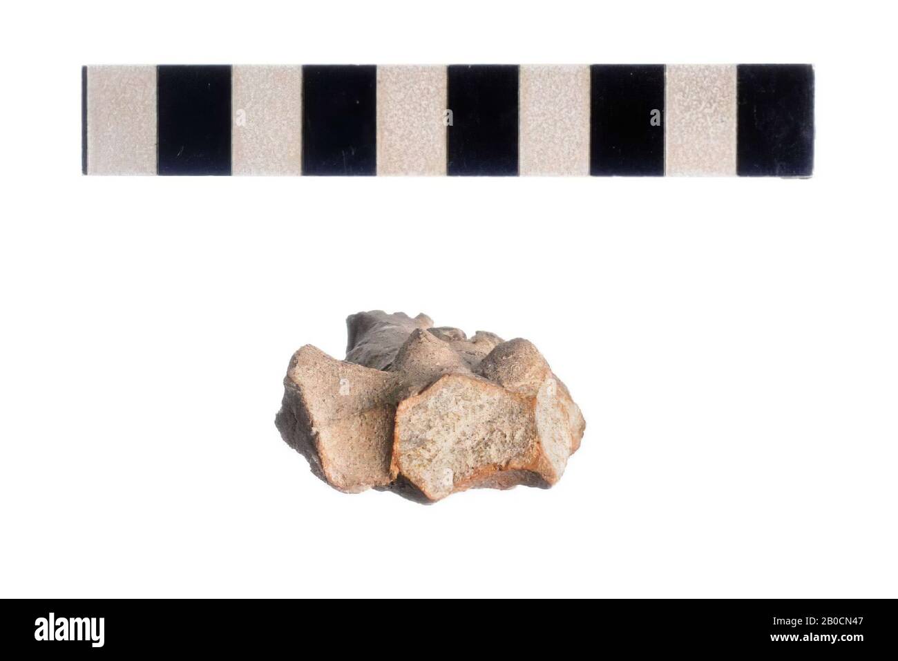 Figurine, femme, fragment, fait à la main, figurine, poterie, L 7,3 cm, Jordanie Banque D'Images