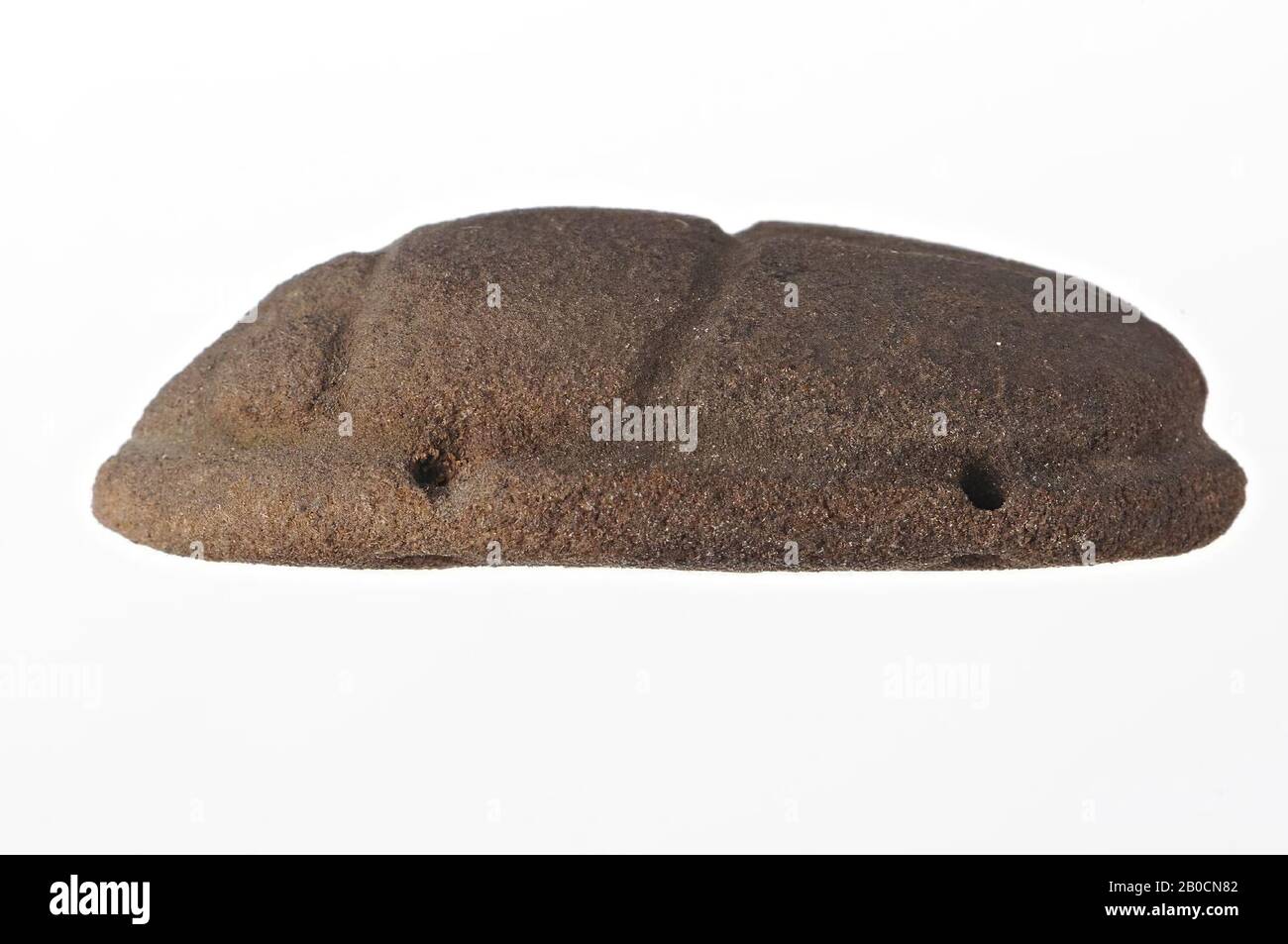 Carabée abdominale, plate, scellée, scarabée, foi, 5,8 cm, Egypte Banque D'Images
