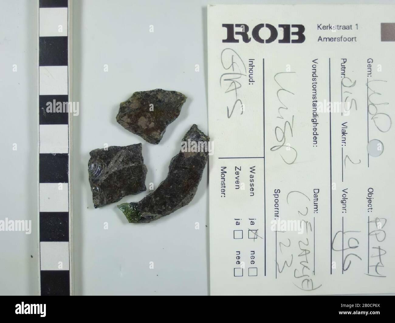 fragment de verre à partir d'échantillons de tamis, 3 éclats de verre plat, s'emboîter ensemble pour former un grand lard. Épaisseur du verre d'environ 3 mm. Surface fortement sombre corrodée. Massage en verre couleur : vert intense. Spoor 123, fragments, verre, Pays-Bas, Utrecht, Wijk bij Duurstede, Wijk bij Duurstede Banque D'Images fragment de verre à partir d'échantillons de tamis, 3 éclats de verre plat, s'emboîter ensemble pour former un grand lard. Épaisseur du verre d'environ 3 mm. Surface fortement sombre corrodée. Massage en verre couleur : vert intense. Spoor 123, fragments, verre, Pays-Bas, Utrecht, Wijk bij Duurstede, Wijk bij Duurstede Banque D'Images