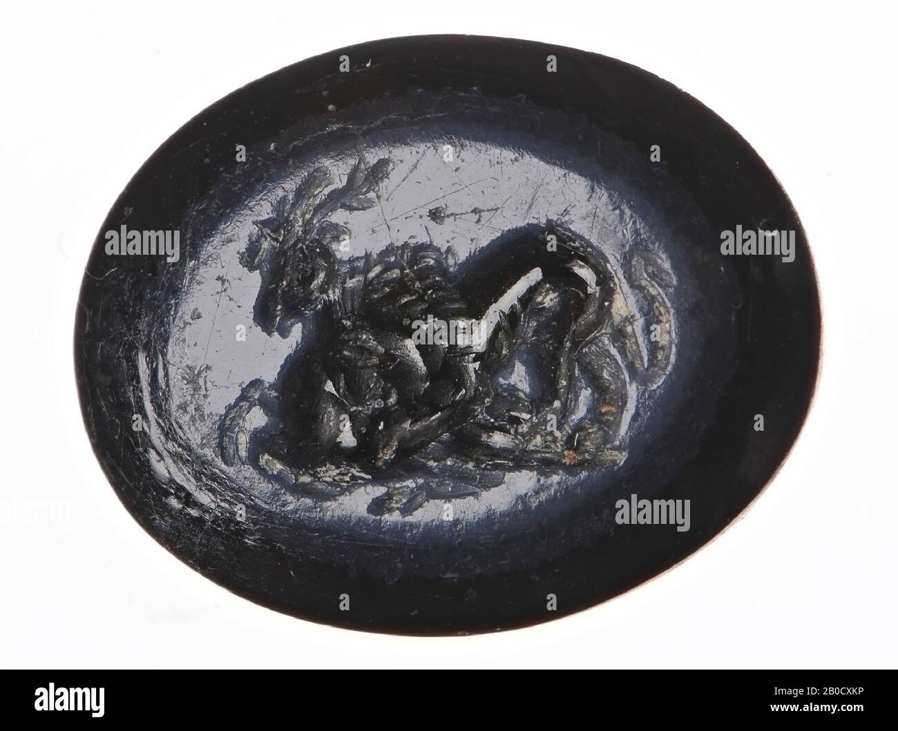 VZ: Un lion, dans une vue de trois quarts avant, attaque un cerf et morde son flanc., Gem, intaglio, ringstone, agate, nicolo, couleur: Noir Banque D'Images