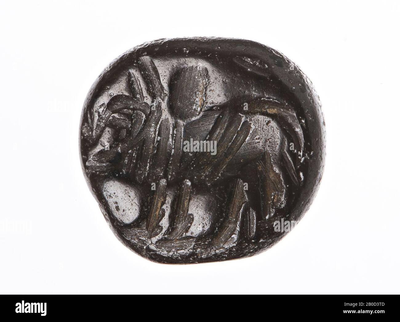 Boeufs bovins à droite, cachet, hématite, couleur :, forme: Dactyloïde, traitement:, méthode:, 7.1 x 11.4 x 10.5 mm Banque D'Images